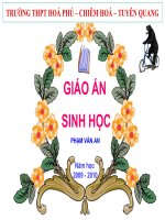 bài giảng sinh học 12 bài 29. quá trình hình thành loài