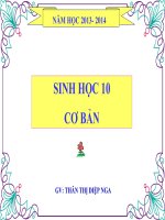thuyết trình sinh học - các cấp tổ chức của thế giới sống (3)