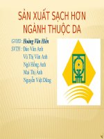 SẢN XUẤT SẠCH HƠN NGÀNH THUỘC DA