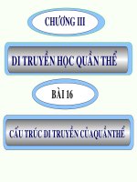 sinh học 12 bài 16. cấu trúc di truyền của quần thể