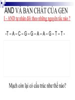 thuyết trình sinh học - adn và bản chất của gen (4)
