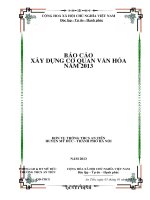 Báo cao xây dựng cơ quan văn hoá
