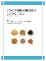 BÀI GIẢNG CÔNG NGHỆ CHẾ BIẾN LƯƠNG THỰC