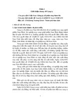 kế toán tập hợp chi phí và tính giá thành sản phẩm công ty cổ phần nam hà