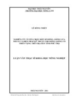 nghiên cứu tuyển chọn một số dòng, giống lúa thuần và biện pháp kỹ thuật cho dòng, giống có triển vọng trên địa bàn tỉnh phú thọ