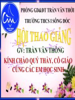 thuyết trình sinh học -  đột biến gen (13)