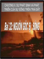 bài giảng sinh học 12 bài 32. nguồn gốc sự sống
