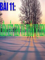 sinh học 12 bài 11. liên kết gen và hoán vị gen