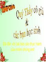 sinh học 12 bài 18. chọn giống vật nuôi và cây trồng dựa trên nguồn biến dị tổ hợp..