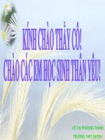 bài giảng sinh học 12 bài 28. loài