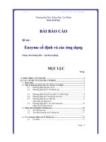 đề tài enzyme cố định và các ứng dụng - luận văn, đồ án, đề tài tốt nghiệp