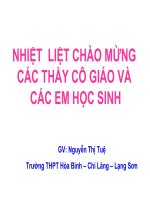 sinh học 12 bài 13. ảnh hưởng của môi trường lên sự biểu hiện của gen
