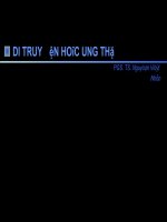 Chương 13 di truyền học ung thư