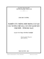 nghiên cứu trồng mới trong cải tạo các nương chè già, cằn cỗi tại huyện chợ mới, tỉnh bắc kạn