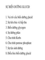 đồ án công nghệ nghiên cứu sự biến dưỡng glucid