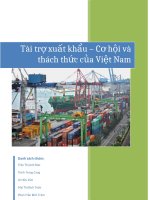 tài trợ xuất khẩu, cơ hội và thách thức của viêt nam