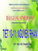 thuyết trình sinh học - nguyên phân (4)
