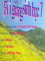 thuyết trình sinh học -  đặc điểm chung và vai trò thực tiễn của động vật nguyên sinh (2)