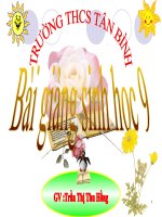 thuyết trình sinh học - menđen và di truyền học (4)