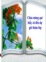 thuyết trình sinh học - tác động của con người đối với môi trường (4)