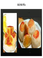 BÀI GIẢNG về BÁNH PÍA