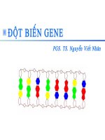 Chương 3 đột biến gene
