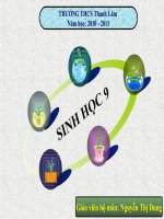 thuyết trình sinh học - công nghệ tế bào