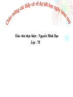 thuyết trình sinh hoc - một số giun tròn khác và đặc điểm chung của ngành giun tròn (2)