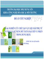 NGHIÊN CỨU CHẾ TẠO VẬT LIỆU HẤP PHỤ TỪ VỎ TRẤU VÀ SỬ DỤNG ĐỂ TÁCH LOẠI CHÌ VÀ NIKEN TRONG DUNG DỊCH