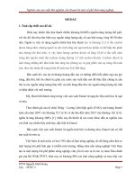 Nghiên cứu sản xuất thử nghiệm cồn Etanol từ một số phế thải nông nghiệp.