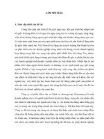 thực trạng và giái pháp phát triển nhập khẩu và phân phối dầu mỡ nhờn tại khu vực miền bắc việt nam của công ty cổ phần kho vận và dịch vụ thương mại