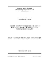 nghiên cứu một số đặc điểm sinh học sinh sản của ong chúa apis cerana nuôi tại thái nguyên