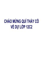 bài giảng sinh học 12 bài 21. di truyền y học  .