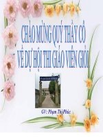 thuyết trình sinh học - đột biến cấu trúc nhiễm sắc thể (5)