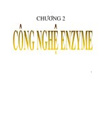 công nghệ enzyme - tổng quan về enzyme - luận văn, đồ án, đề tài tốt nghiệp