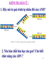 thuyết trình sinh học -  mối quan hệ giữa gen và arn (6)
