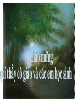 thuyết trình sinh học - công nghệ gen (4)