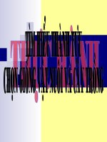 thuyết trình sinh học - thành tựu chọn giống ở việt nam (2)