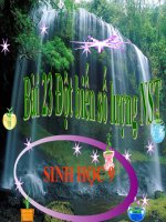 thuyết trình sinh học - đột biến số lượng nhiễm sắc thể (3)