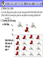 sinh học 12. bài 10 tương tác gen