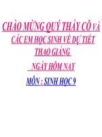 thuyết trình sinh học - nguyên phân (5)