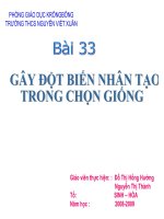 thuyết trình sinh học - gây đột biến nhân tạo trong chọn giống (2)