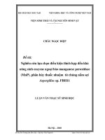 nghiên cứu lựa chọn điều kiện thích hợp đến khả năng sinh enzyme ngoại bào manganese peroxidase, phân hủy thuốc nhuộm từ chủng nấm sợi aspergillus sp. fbh11