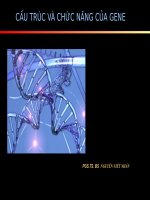Chương 2 cấu trúc và chức năng của gene