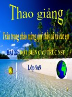 thuyết trình sinh học - đột biến cấu trúc nhiễm sắc thể (4)