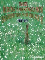 thuyết trình sinh học - thực hành tìm hiểu môi trường và ảnh hưởng của một số nhân tố sinh thái lên đời sống sinh vật (4)