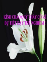 thuyết trình sinh học - bệnh và tật di truyền ở người (5)