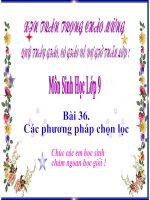 thuyết trình sinh học - các phương pháp chọn lọc (4)