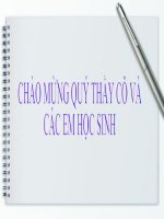 sinh học 12 bài 13. ảnh hưởng của môi trường lên sự biểu hiện của gen