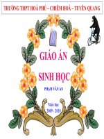 bài giảng sinh học 12 bài 31. tiến hoá lớn